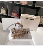 Brown Phatbird Hard case perspex bag/clutch.