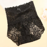 Stretchy French Cut High-Rise Women’s Lace Panties/ Briefs Breathable Lingerie