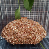 Phatbird Rose gold Rhinestone Clutch Bag