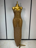 Rhinestone Mesh Sheath Gown